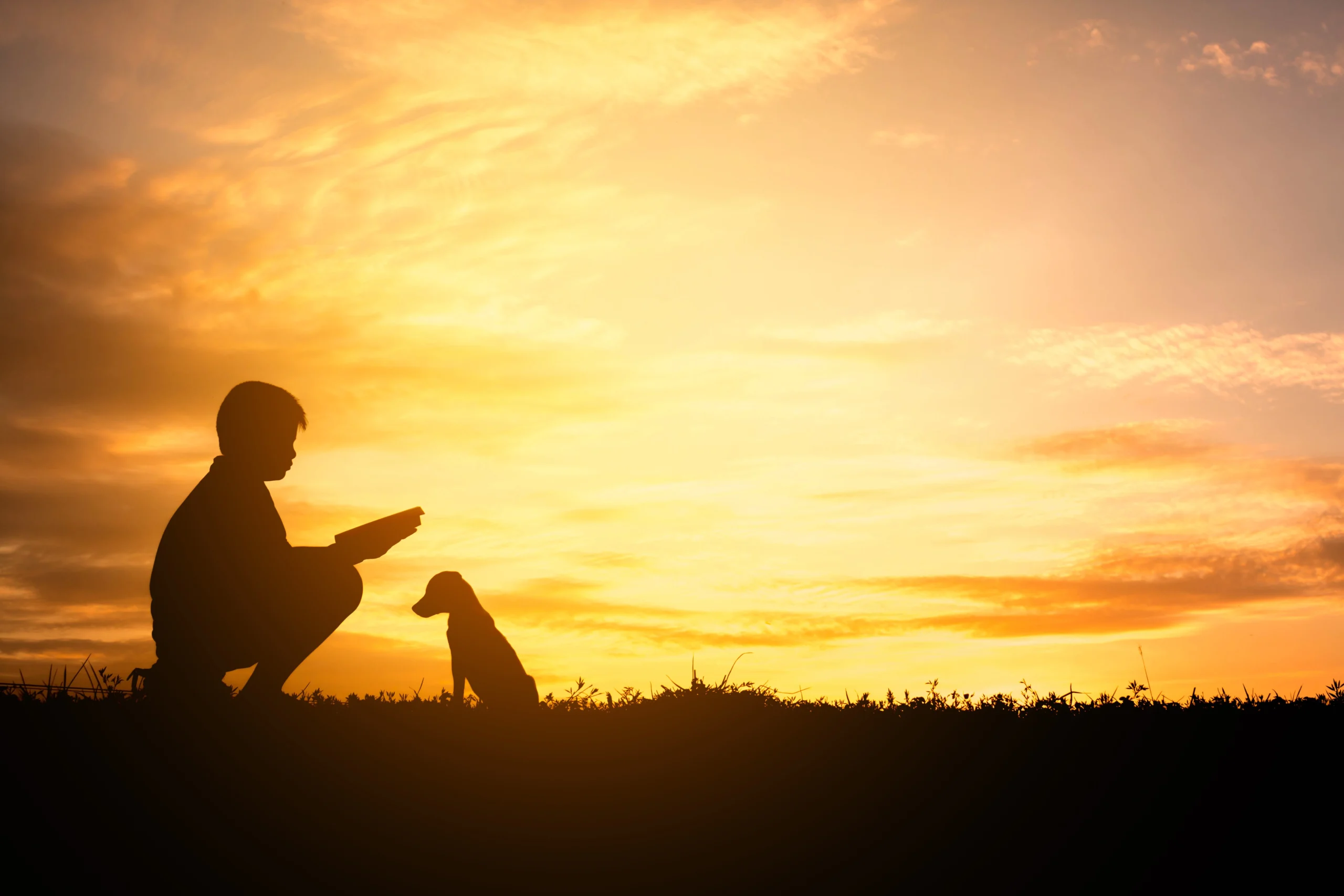 Image a boy and his dog at sunset